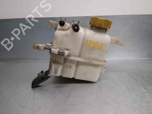 Used Expansion tank CHEVROLET CAPTIVA (C100, C140) 2.0 D (150 hp) 12057811