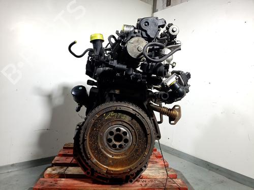 Engine RENAULT MEGANE III Hatchback (BZ0/1_, B3_) 1.5 dCi (BZ0C) | BP32411766M1