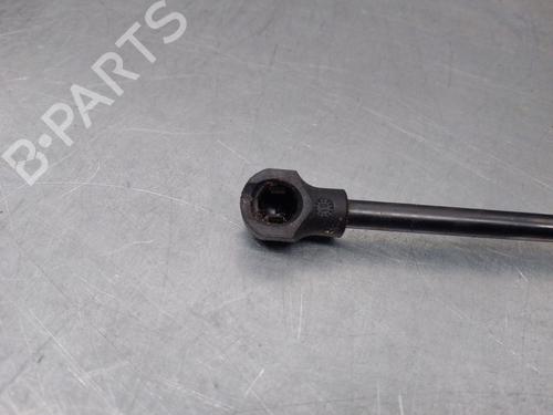 Hood lift support DACIA SANDERO II 1.5 Blue dCi 95 (B8JL) | BP17648493C139 