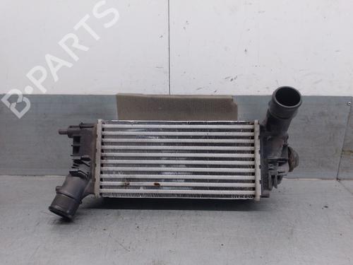 Intercooler FORD FIESTA VII (HJ, HF) 1.0 EcoBoost mHEV (125 hp) 28129075