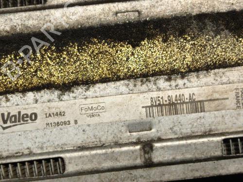 Intercooler FORD FIESTA VI (CB1, CCN) 1.6 TDCi | BP29453072M30 