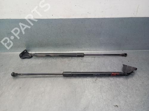 Used Tailgate lift support Tailgate lift support NISSAN QASHQAI I (J10, NJ10) 2.0 (141 hp) 34636553 34636553