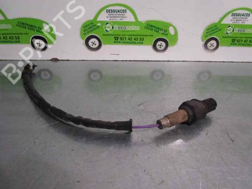 Elektronische sonde AUDI A6 C6 (4F2) 3.0 TDI quattro (225 hp) 8293815