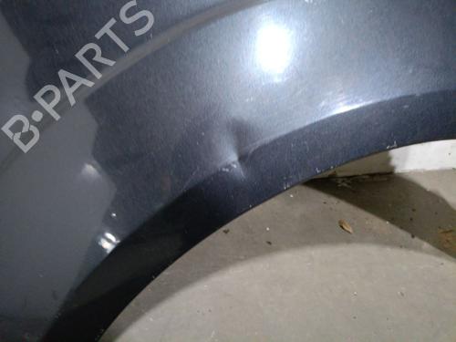 Left front fenders FORD S-MAX (WA6) 2.0 TDCi | BP28066350C41 