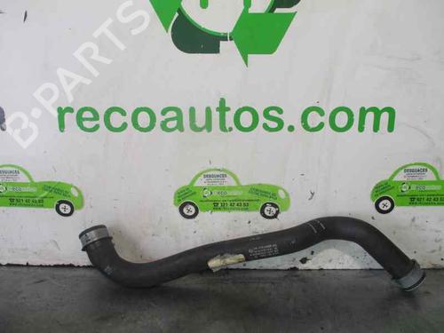 Pipe MERCEDES-BENZ E-CLASS (W211) E 320 CDI (211.022) | BP20252053M125 