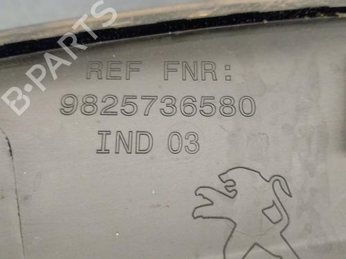 Rear right wheel arch trim PEUGEOT 2008 II (UD_, US_, UY_, UJ_, UR_, UC_) 1.2 PureTech 100 (USHNK) | BP29613876C137 