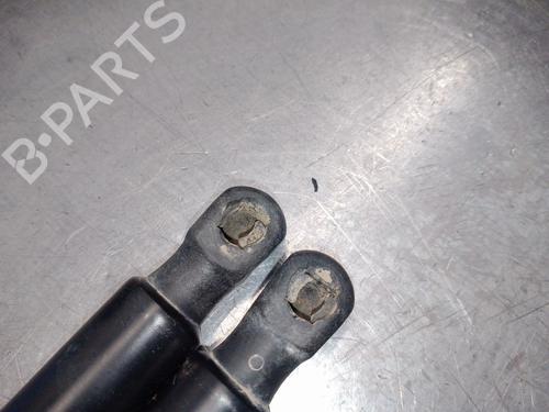 Tailgate lift support JEEP COMPASS (MP, M6, MV, M7) 2.0 CRD 4x4 | BP29710009C138