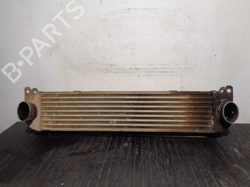 Used Intercooler LAND ROVER DISCOVERY III (L319) 2.7 TD 4x4 (190 hp) 12206926