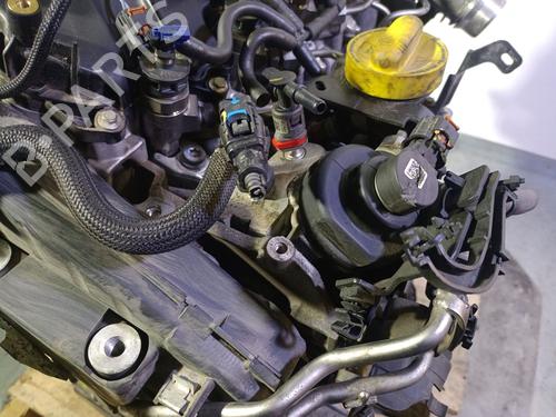 Motor RENAULT EXPRESS Box Body/MPV 1.5 Blue dCi 75 (F6AA) | BP29305671M1 