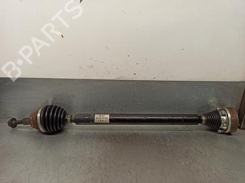 Used Right front driveshaft VW GOLF SPORTSVAN VII (AM1, AN1) 1.6 TDI (90 hp) 17642900
