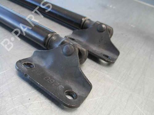 Tailgate lift support OPEL CORSA D (S07)  | BP20247555C138 