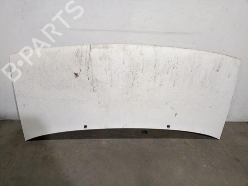 Used Hood CITROËN JUMPY I (U6U_) 1.9 TD (90 hp) 28316465