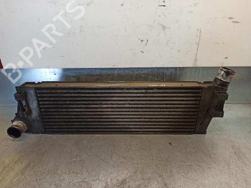 Used Intercooler RENAULT MEGANE II Estate (KM0/1_) 1.9 dCi (131 hp) 7272066