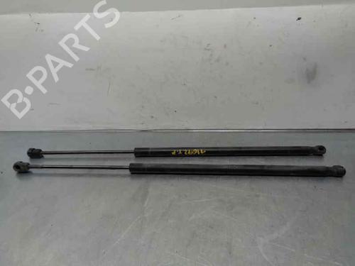 Tailgate lift support FORD FIESTA V (JH_, JD_)  | BP20256287C138 