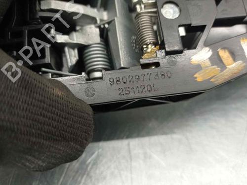 Rear left exterior door handle PEUGEOT 208 II (UB_, UP_, UW_, UJ_) 1.2 PureTech 75 | BP13738010C130 