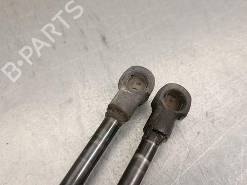Tailgate lift support SEAT IBIZA II (6K1) 1.9 TDI | BP27506324C138