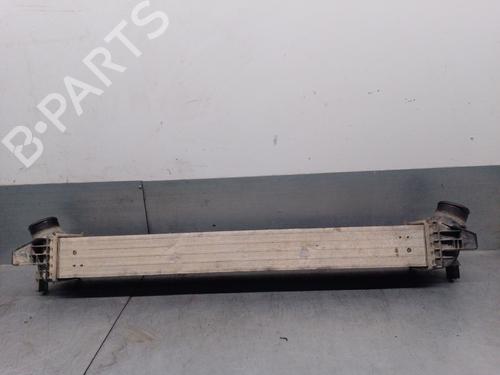 Intercooler CITROËN JUMPER II Van 2.2 HDi 130 | BP29324964M30 