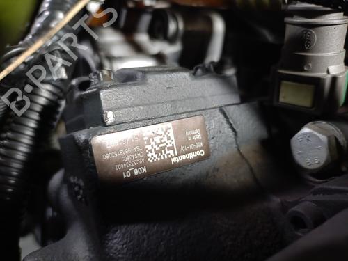 Engine CITROËN C4 Picasso I MPV (UD_) 2.0 HDi 138 | BP31680310M1