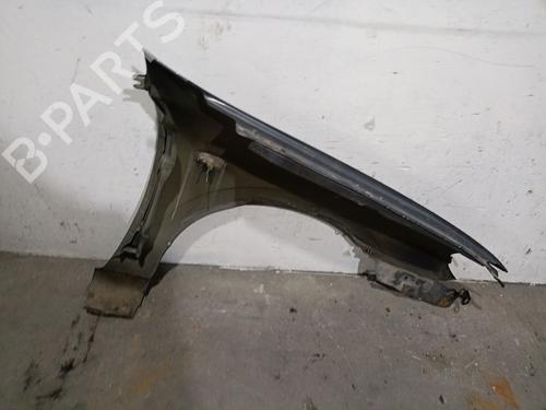 Left front fenders NISSAN ALMERA II Hatchback (N16) 1.5 | BP29406109C41 