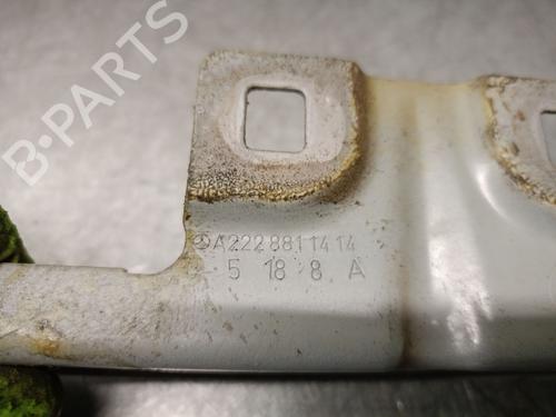 Inne MERCEDES-BENZ S-CLASS (W222, V222, X222) S 560 e (222.173) | BP30900769O1