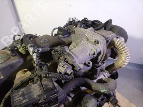 Engine FORD FOCUS II (DA_, HCP, DP) 1.8 TDCi | BP29164373M1