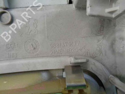 Interior roof light PEUGEOT 3008 I MPV (0U_) 2.0 HDi 150 / BlueHDi 150 | BP7446628I8 