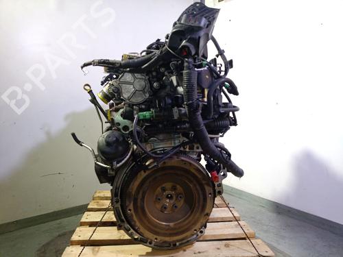 Motor FORD FIESTA VI (CB1, CCN) 1.6 TDCi | BP29407276M1 