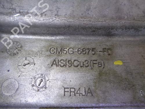 Oil sump FORD FIESTA VI (CB1, CCN)  | BP17062180M115 