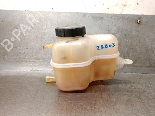 Used Expansion tank MG MG ZS SUV (AZS1) 1.0 T-GDi (111 hp) 29709079