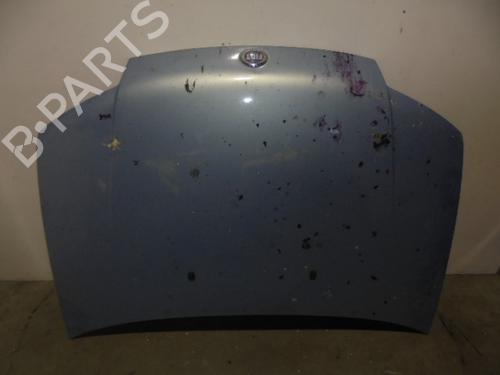 Used Hood FIAT PUNTO (188_) 1.2 Bipower (188BXA1A) (60 hp) 10031719