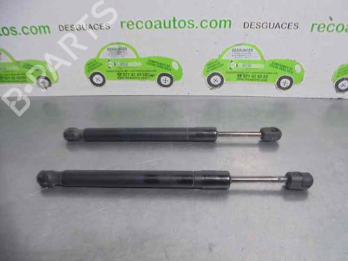 Used Tailgate lift support AUDI A4 B7 (8EC) 2.0 TDI quattro (140 hp) 20252321