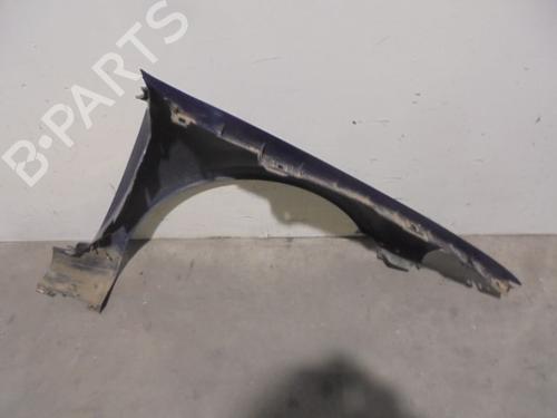 Left front fenders RENAULT LAGUNA II (BG0/1_) 1.9 dCi (BG08, BG0G) | BP10375963C41 
