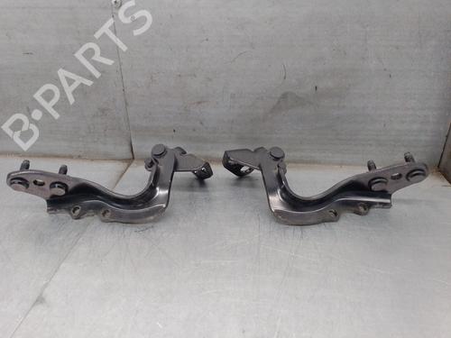 Hinge/Door check strap LAND ROVER RANGE ROVER EVOQUE (L538) 2.2 D 4x4 | BP17586496C146 
