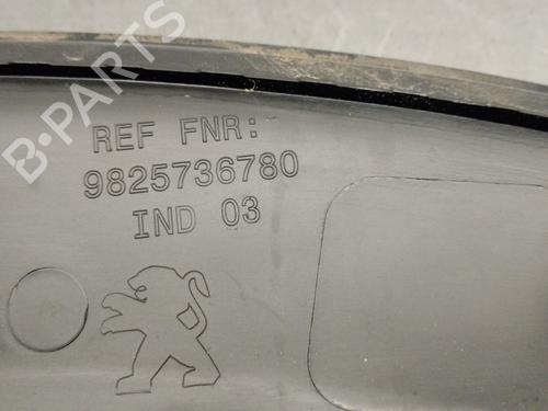 Rear left wheel arch trim PEUGEOT 2008 II (UD_, US_, UY_, UJ_, UR_, UC_) 1.2 PureTech 100 (USHNK) | BP29613875C136 