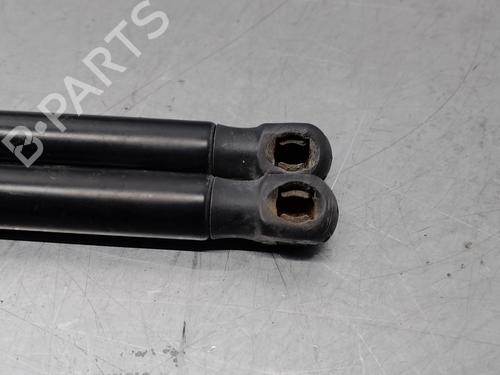 Tailgate lift support LAND ROVER RANGE ROVER EVOQUE (L538) 2.2 D 4x4 | BP18012677C138