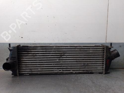 Intercooler RENAULT TRAFIC II Bus (JL) 2.0 dCi 115 (JL00, JL01, JL0H, JL0M, JL0U) (114 hp) 31171711