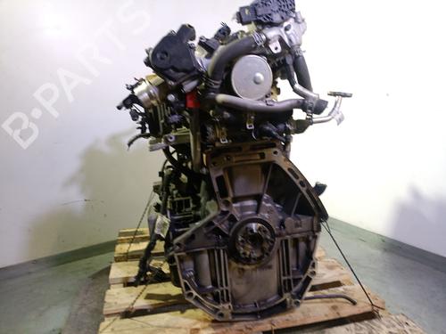 Motor RENAULT EXPRESS Box Body/MPV 1.5 Blue dCi 75 (F6AA) | BP29305671M1 
