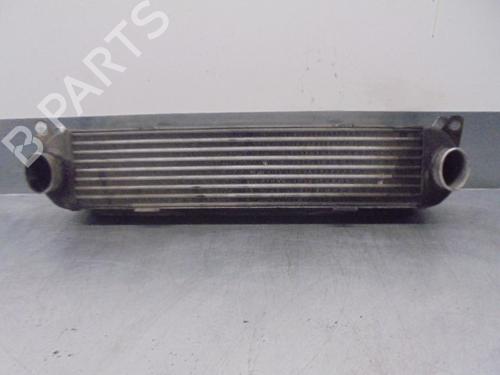 Intercooler LAND ROVER RANGE ROVER SPORT I (L320) 2.7 D 4x4 (190 hp) 12135980
