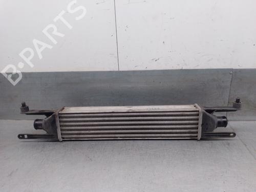 Intercooler FIAT GRANDE PUNTO (199_) 1.3 D Multijet (199.AXD11, 199.AXD1A, 199.AXD1B,... | BP28129078M30 