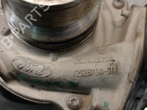 Turbolader/Kompressor FORD PUMA (J2K, CF7) 1.0 EcoBoost | BP29625101M71 