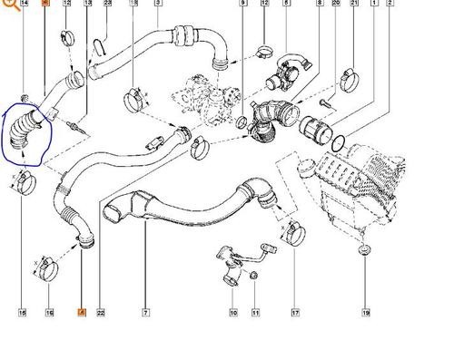 Pipe RENAULT CLIO III (BR0/1, CR0/1) 1.5 dCi (BR17, CR17) | BP30571124M125 