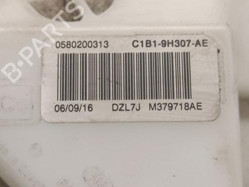 Fuel pump FORD FIESTA VI (CB1, CCN) 1.0 EcoBoost | BP21578870M76 