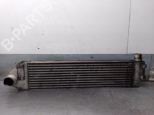 Used Intercooler RENAULT GRAND SCÉNIC II (JM0/1_) 2.0 dCi (JM1K) (150 hp) 31171709