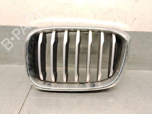 Used Grille Grille BMW X3 (G01, F97, G08) sDrive 18 d Mild-Hybrid (150 hp) 36342259 36342259