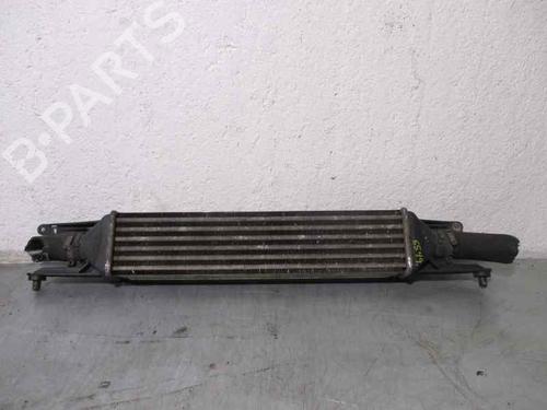 Used Intercooler FIAT GRANDE PUNTO (199_) 1.3 D Multijet (75 hp) 2090336