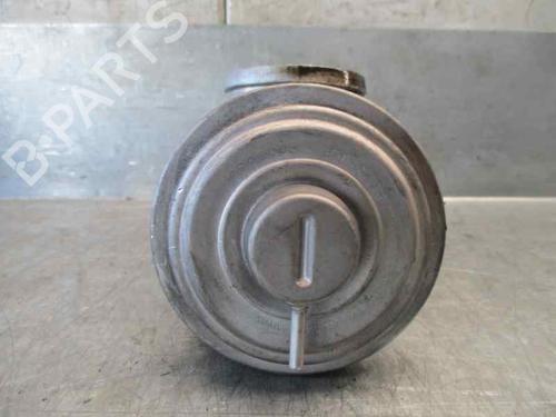 Egr BMW 3 (E46) 320 d | BP7825090M69