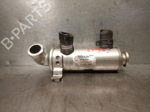 EGR-Ventil PEUGEOT BIPPER (AA_) [2008-2025]  30002153