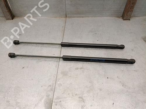 Used Tailgate lift support FORD FIESTA VI (CB1, CCN) 1.0 EcoBoost (100 hp) 21579239