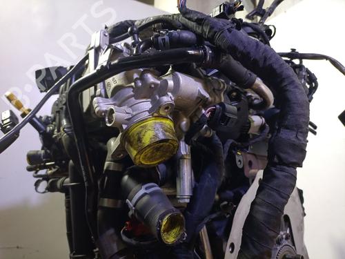 Engine AUDI Q3 (F3B) 35 TDI | BP29512466M1 