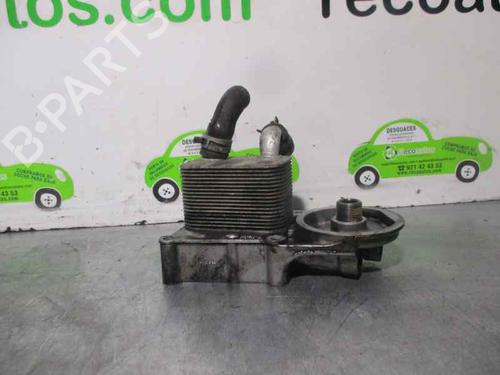 Støtte FORD TRANSIT CONNECT (P65_, P70_, P80_) 1.8 TDCi (90 hp) 20249866
